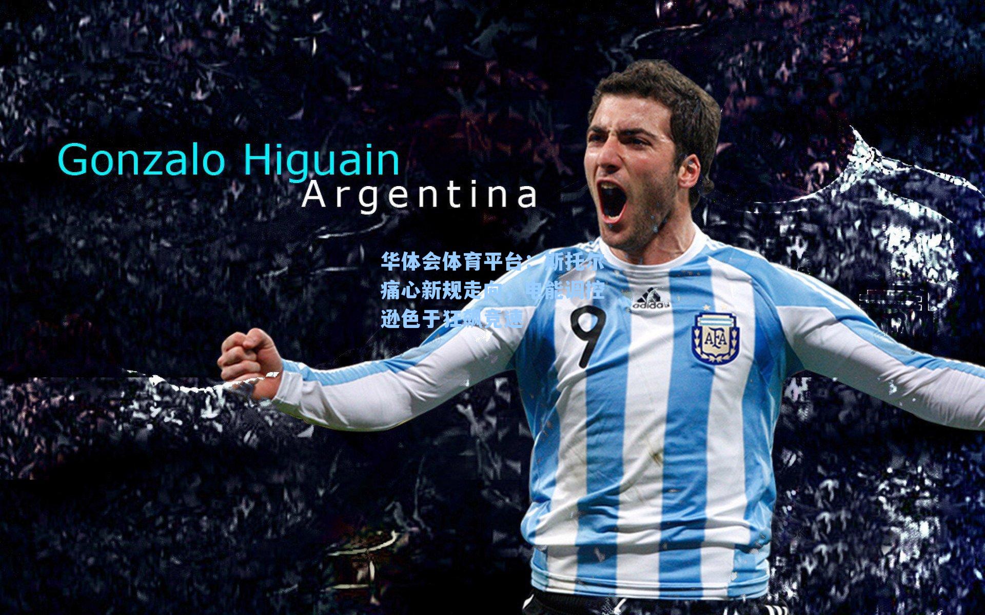 斯托尔痛心新规走向,电能调控逊色于狂飙竞速