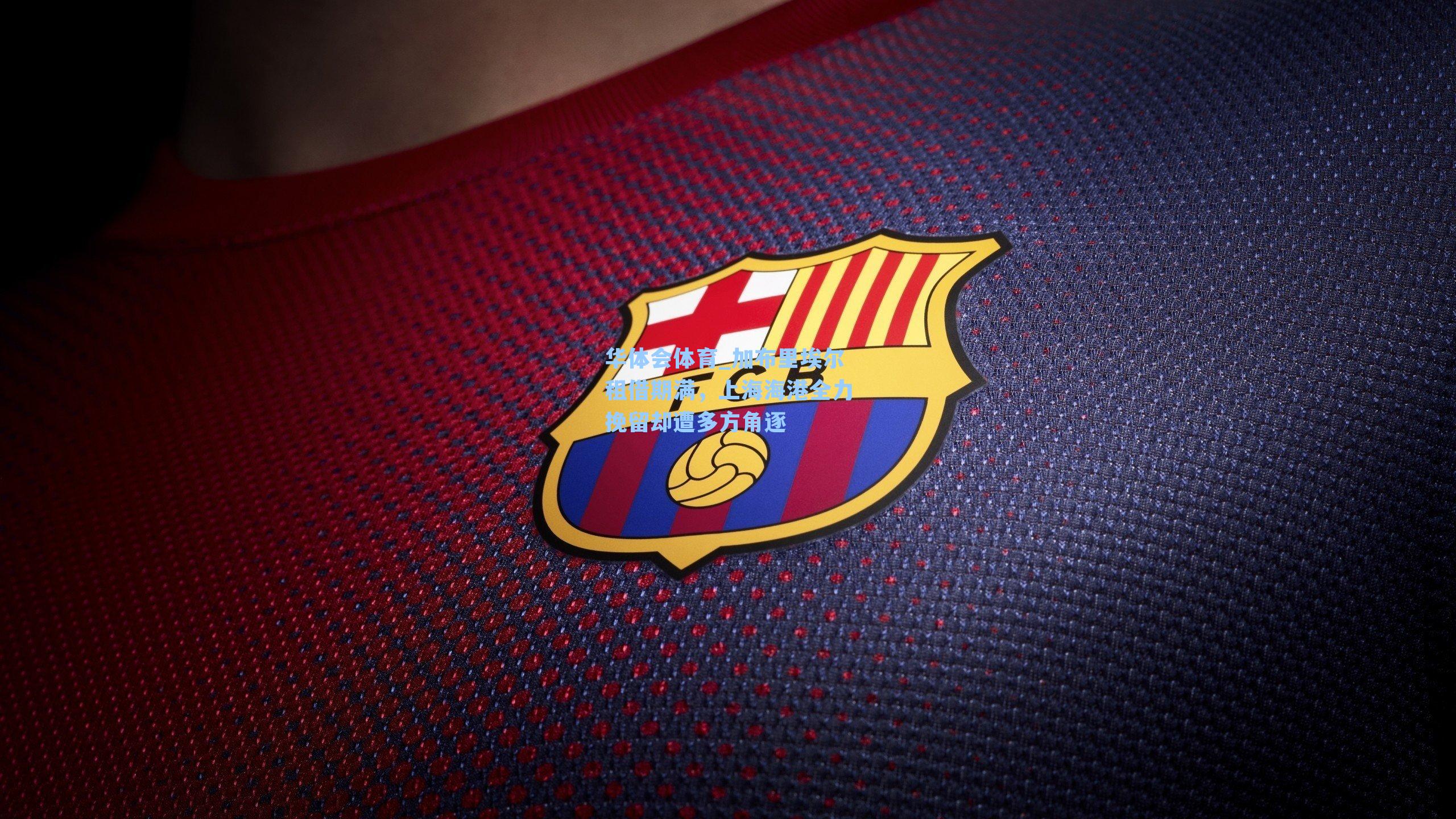 华体会体育_加布里埃尔租借期满，上海海港全力挽留却遭多方角逐